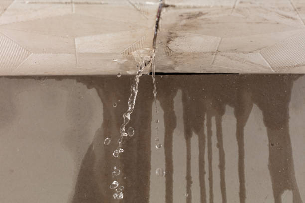 Professional Water Damage Inspection technician working in Farmington, WA